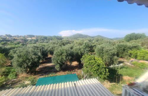 Antigone House - Foto 29