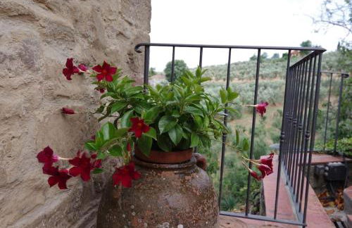 Villa Vestra in Vinci holiday home - Foto 9