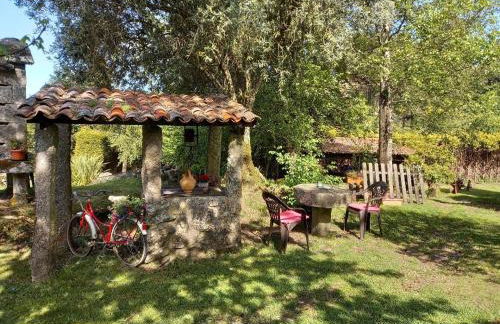 Veiga Mariña - Foto 32