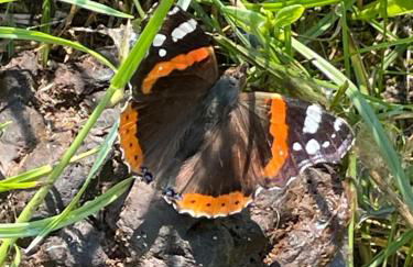 Ferienwohnung Aussicht, Monheimer Alb, Altmühltal - Foto 36
