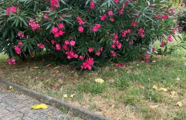 Ramonville parking Privé balcon café - Foto 20