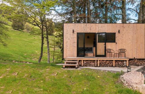 cozy Black Forest Tiny House close to lake - Foto 15