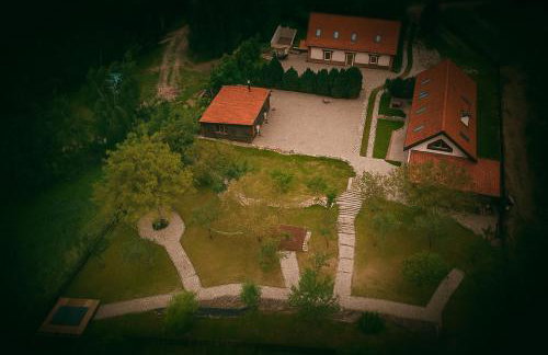 Miejski Las 8 - Foto 33