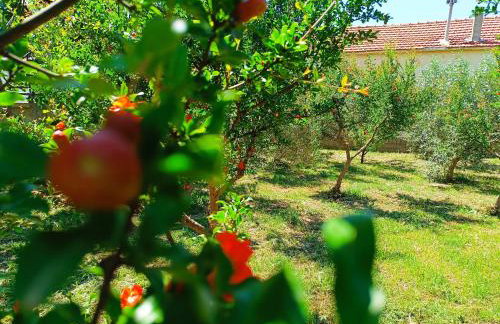 Grandmas Cottage - Photo 40