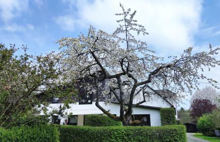 Sauerland-AlmWinterberg - Photo 1