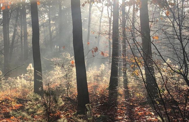 Markelo Lodge Near Trails - Photo 23