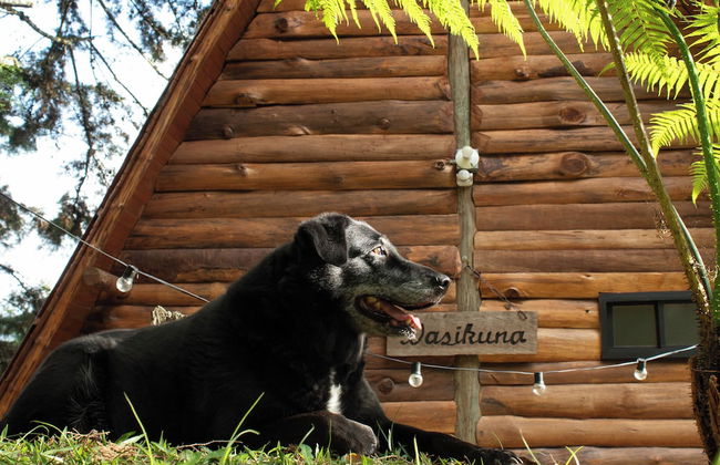 Wasikuna cabañas rurales tipo glamping - Foto 73