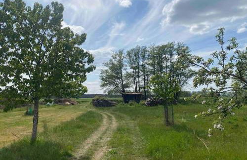 Auszeit inmitten der Natur - its a kind of magic - Foto 24