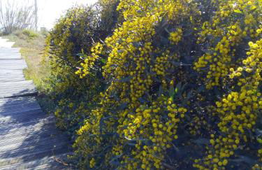 Pipo People House - Foto 41