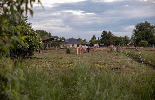Słoneczna Przystań - Foto 64