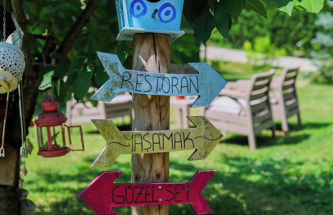 Natural Life Bungalows Sapanca - Photo 46