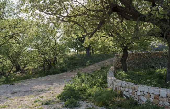 DONNAPAOLA MODERN FARM - Photo 68