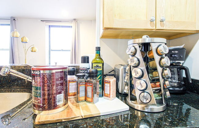 Luxury & Stylish 1br/1ba in Boston South End - BU Medical - Foto 10