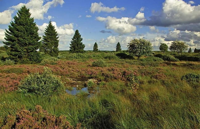 Cozy Apartment in Boltenhagen Germany Near the Beach - Foto 70