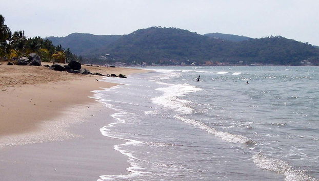 Rincón de Guayabitos Beach Excursion - Foto 4