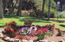 AlgaidaBeach-PaseoLitoral - Photo 41