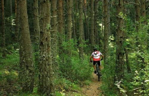 Aisa Casa Simon - Photo 49