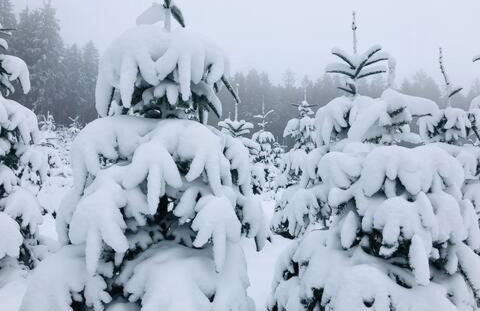 Haus Astenblick in Winterberg für bis zu 35 Personen für Wanderveranstaltungen und Familienfeiern - Foto 73