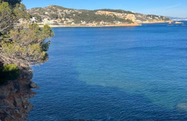 Paradis carry - Foto 1