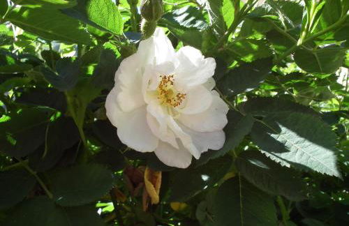 Chez le Marquis du Pontet - Foto 48