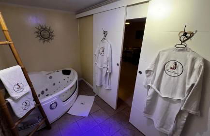 Aux portes de la Camargue studio balneo sauna et piscine - Foto 5