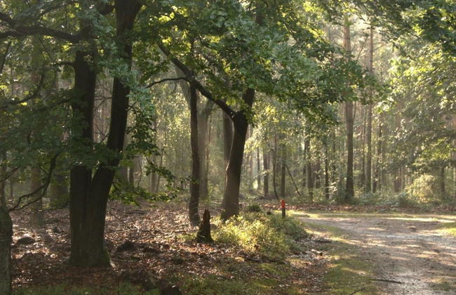 Lovely Holiday Home in Voorhuizen With Garden - Photo 32