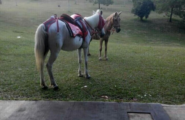 Villa Ciater Highland - Foto 68