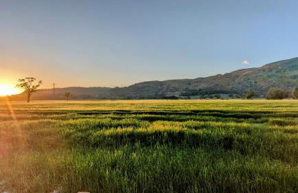 Luxury Shepherds Hut on Powis House Estate - Foto 23
