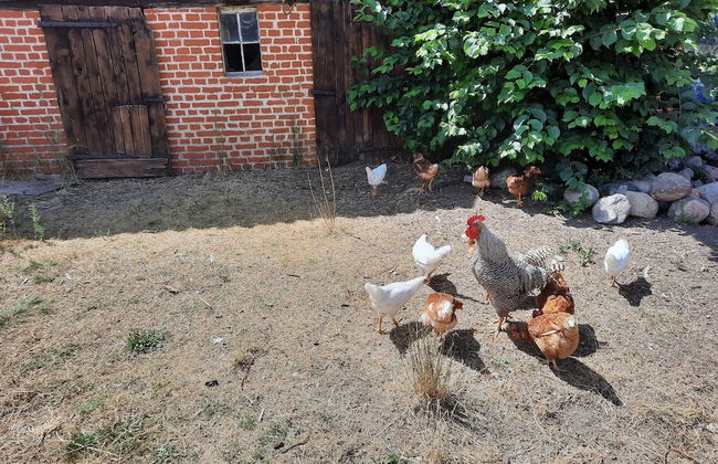 Charmante Ferienwohnung in der Oase am Vilzsee - Photo 36