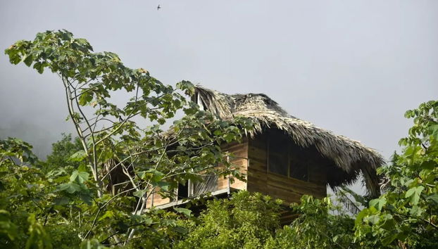 Taorayiná nature reserve - Foto 5, Habitación