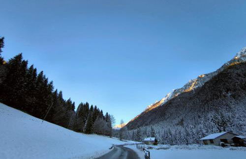 BROWN DOLOMYTE Apartment - Foto 1