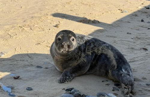 East view villa - Foto 2