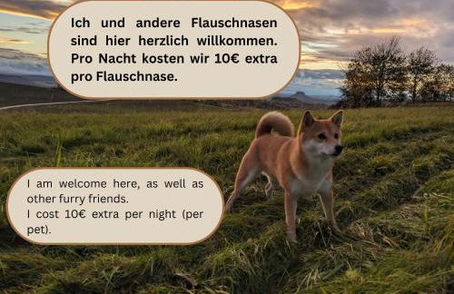 R1 - Urlaubsmagie - Bad Schandau fußläufig, Garten - Foto 26