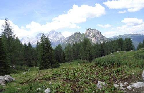 Sweet Home - Foto 13