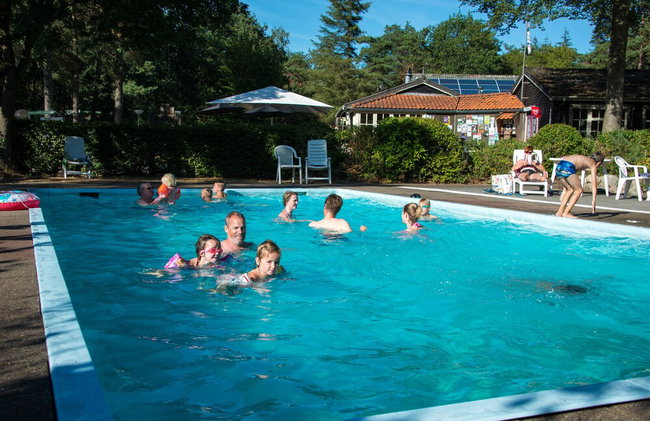 Vakantiepark De Wiltzangh - Foto 35