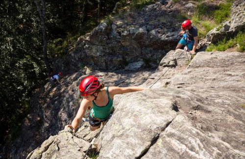 Schwarzwaldglück Loft - Foto 15