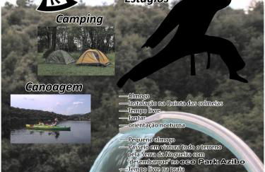 Quinta das Colmeias - Foto 24