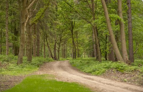 Wild Meadow Barn - Foto 67