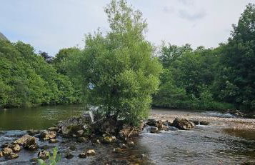 Regina apartment in Fort William - Foto 49