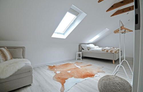 Haus Orbis Noster im Harz - Whirlpool und Sauna - direkt am Wald - Foto 10