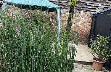 Studio Annex - Foto 48