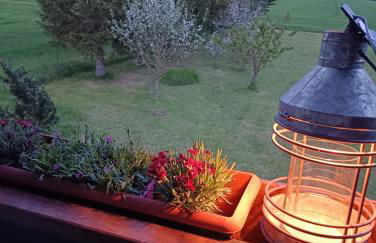 Ferienhaus Barth - Foto 17