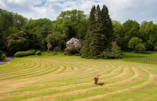 Catchfrench Manor - Foto 13