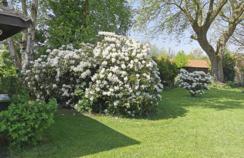 Nordsee Gulfhof 2 mit Garten Dornum 60 qm - Foto 16