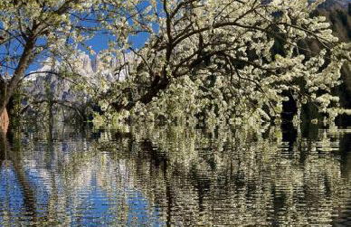 Appartamenti Regina - Foto 36