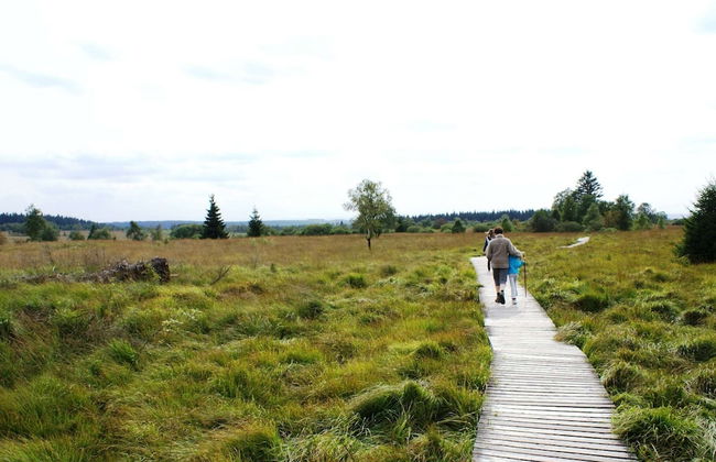 Chalet in Ardennes Near Forest Trails - Foto 17