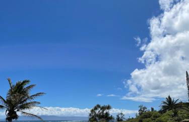 Ka Hale Kealoha - Foto 41