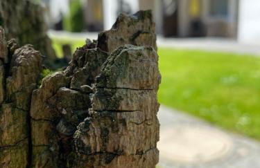 Gästehaus Falkenhof - Foto 6