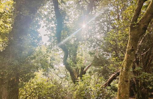 Mourne Mountain Art Apartments - Foto 90