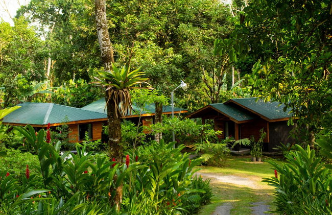 Eden Organic Farm & Bungalows - Foto 1
